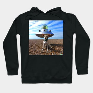 Space Dog #6 Hoodie